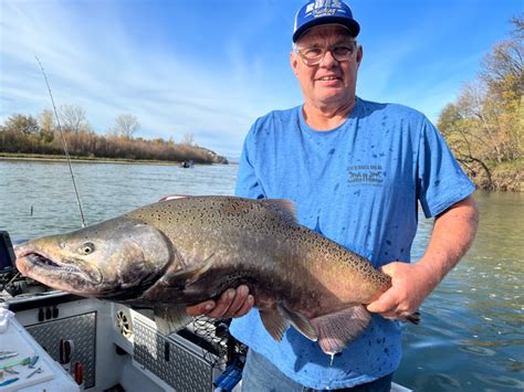 sacramento river salmon fishing report|sacramento river salmon fishing regulations.